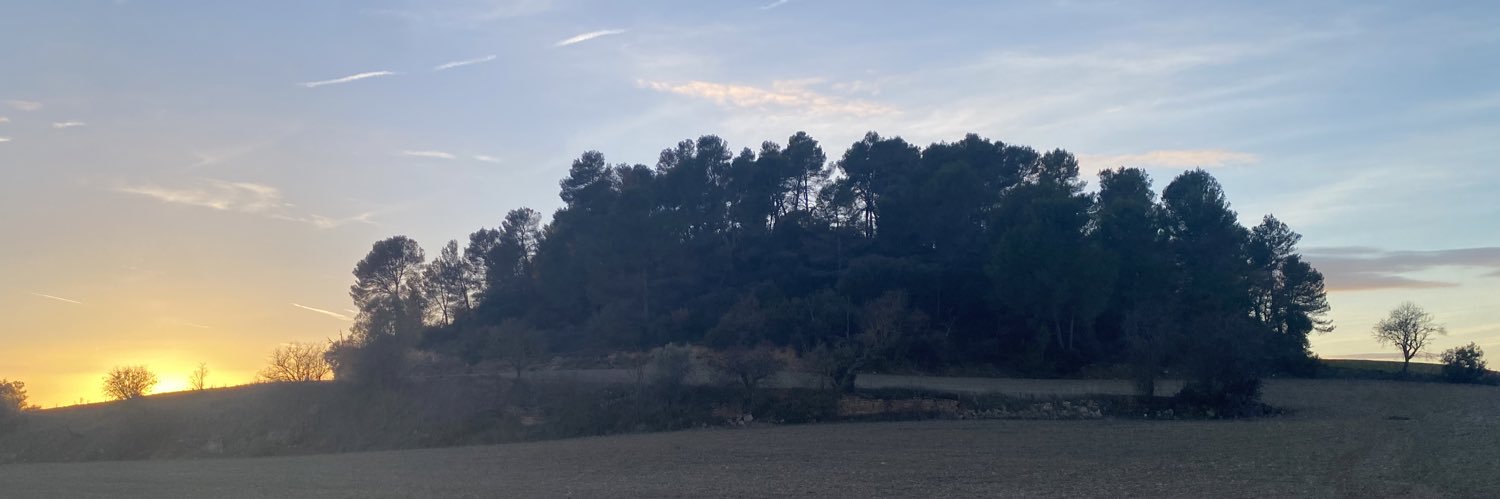 joancomaposada's profile banner image