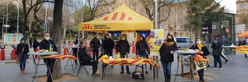 Tània Rafí banner