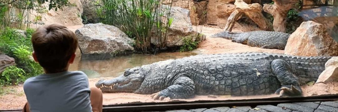 Jacqueline 💜 banner