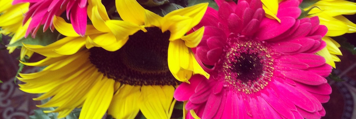 Tonta_Bipolar's profile banner image