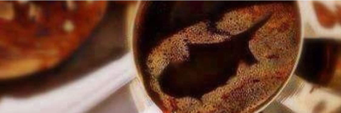 meyro 🇨🇾 banner