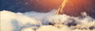 عبدالمجيد banner