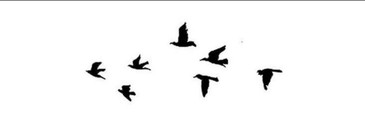 ‏محمد الحناكي banner