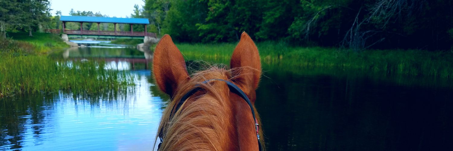 twhrider's profile banner image