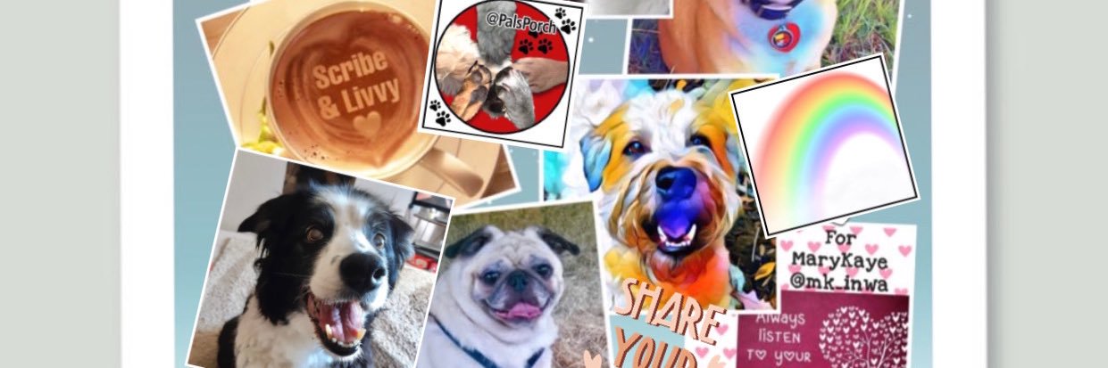 PalsPorch's profile banner image