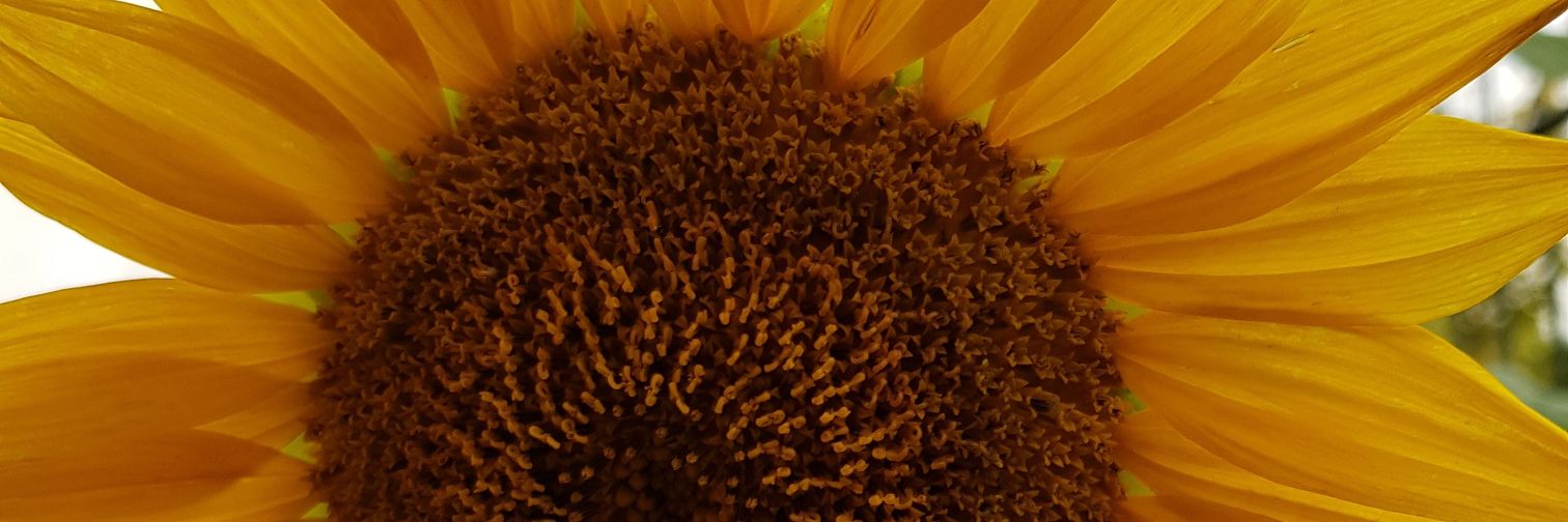 VisionaryLdrshp's profile banner image