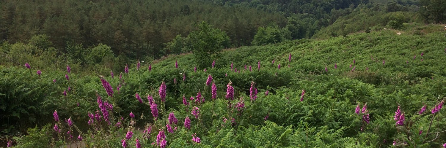 Izzi Fullwood banner