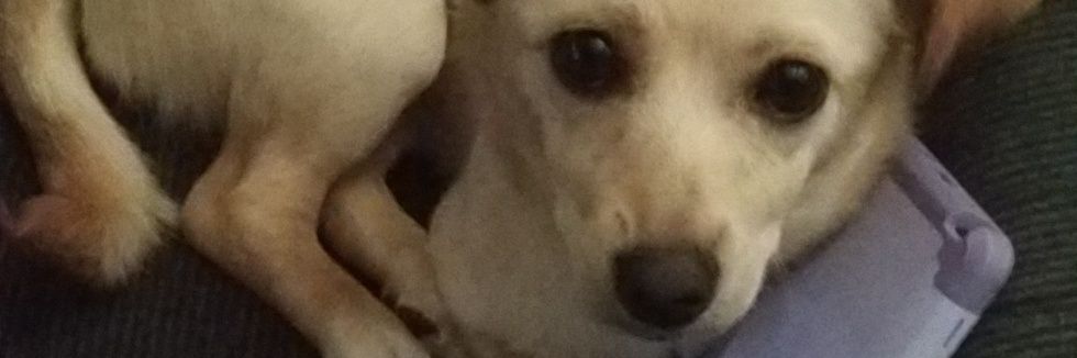 AmandaMonson's profile banner image