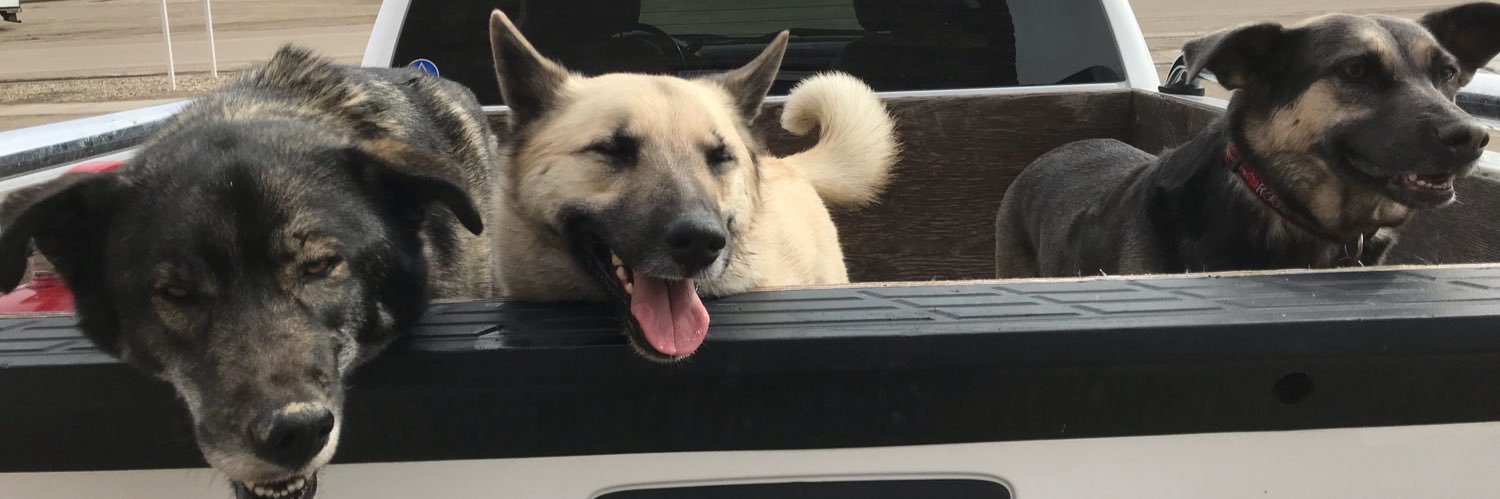 scarsafety's profile banner image