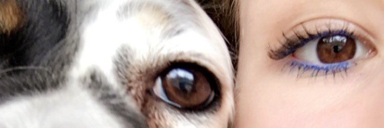 LibbyVolna's profile banner image