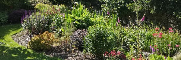 rogerokeeffe Profile Banner