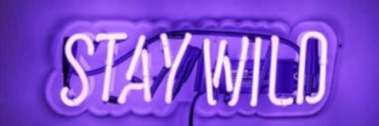 merilyn_duncan's profile banner image
