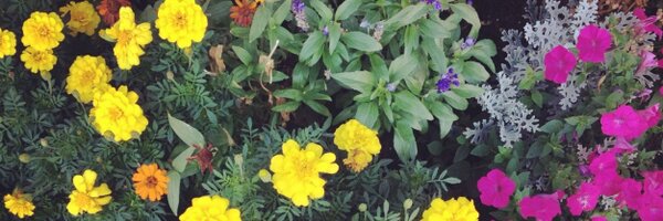 KahleaBerry Profile Banner