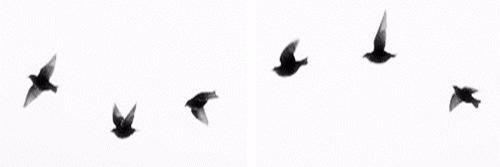 igorfrt_'s profile banner image