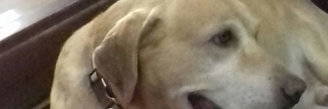 sandyblack38's profile banner image