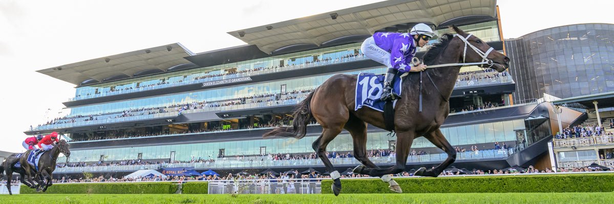 Star Thoroughbreds banner