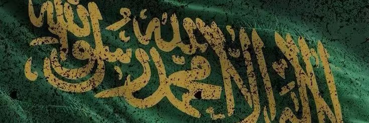 dribi_ali's profile banner image