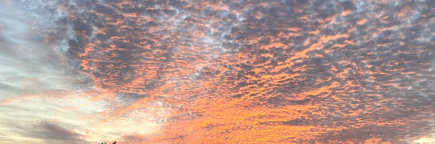 TrishKennedy_'s profile banner image