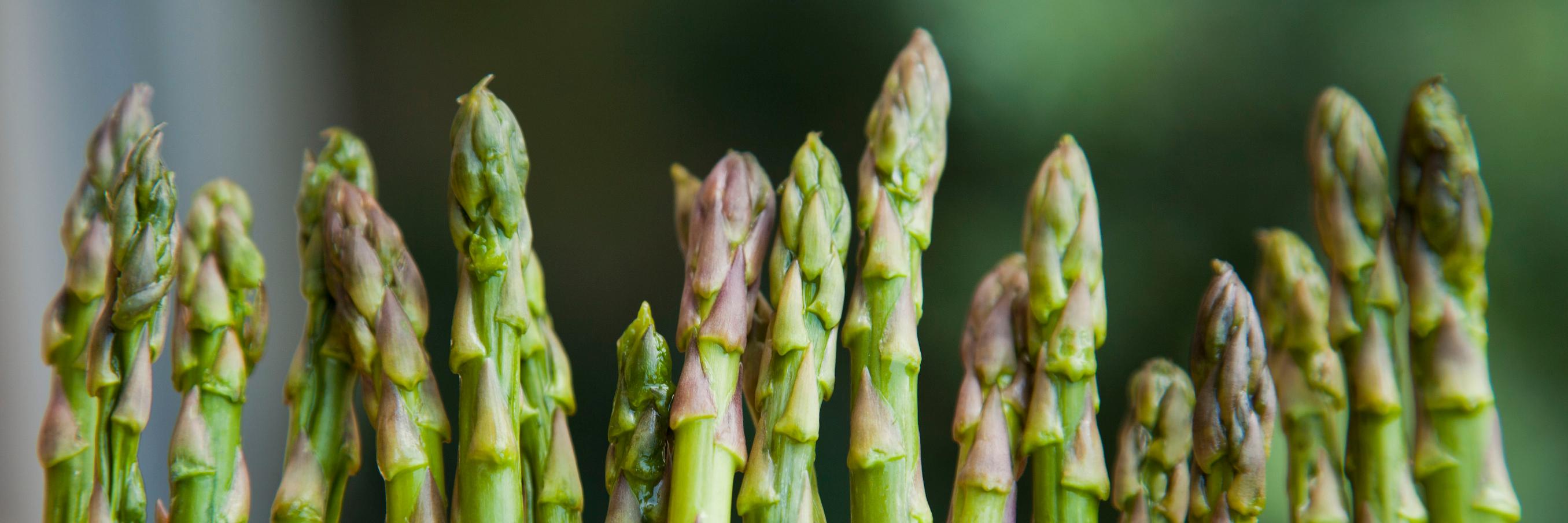 Find Local #RealFood banner