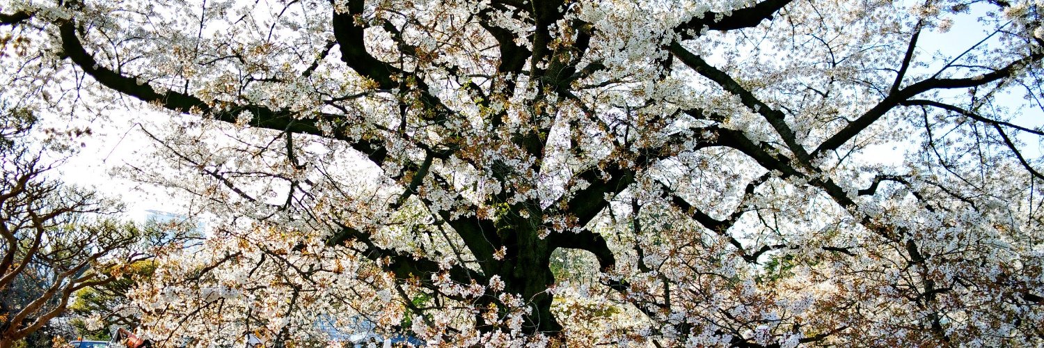 にゃんこまる：kei⛅️ banner