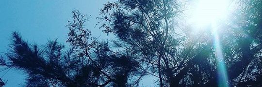 vivi4ny's profile banner image