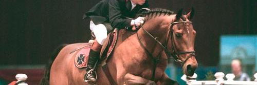 DelarocheStud's profile banner image