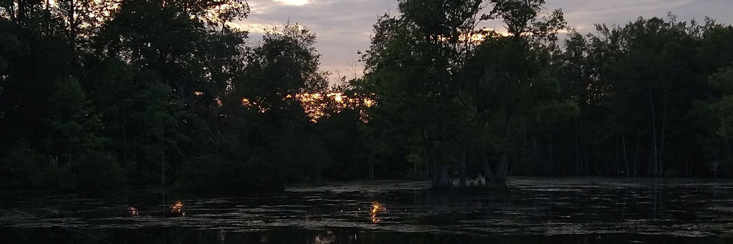 puddlejumper82's profile banner image