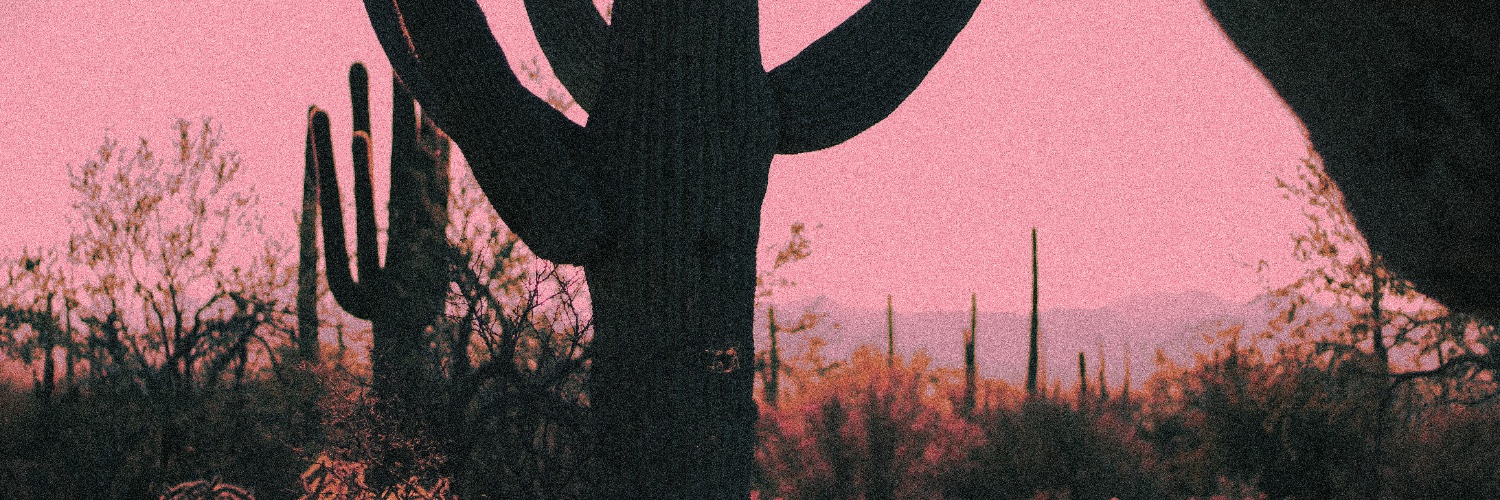 kayleejeanW's profile banner image