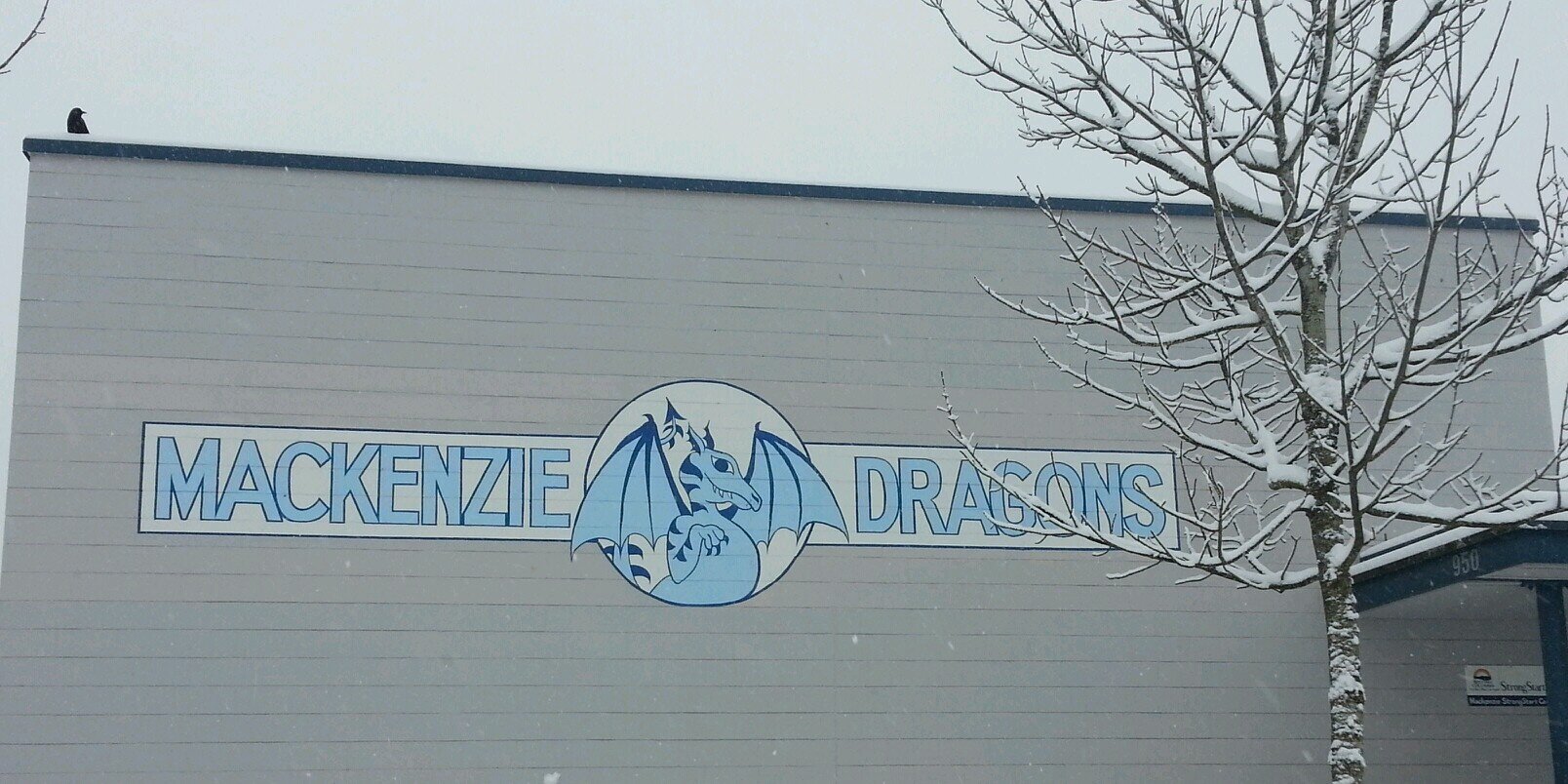 Mackenzie_Elem's profile banner image