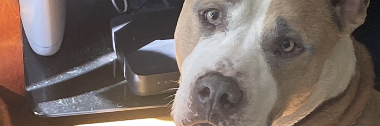 kwatt44's profile banner image