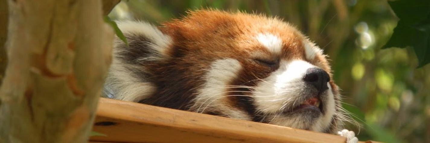 こーじ（コーヒー給仕係） banner