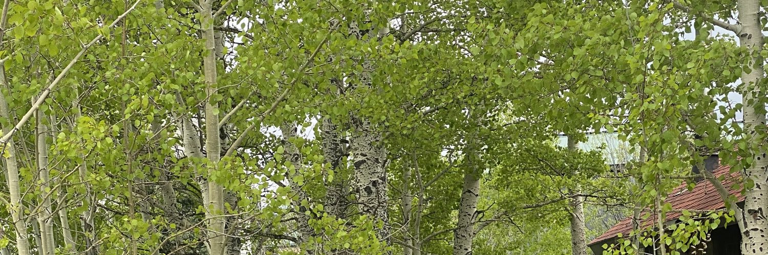 stressbuilds's profile banner image