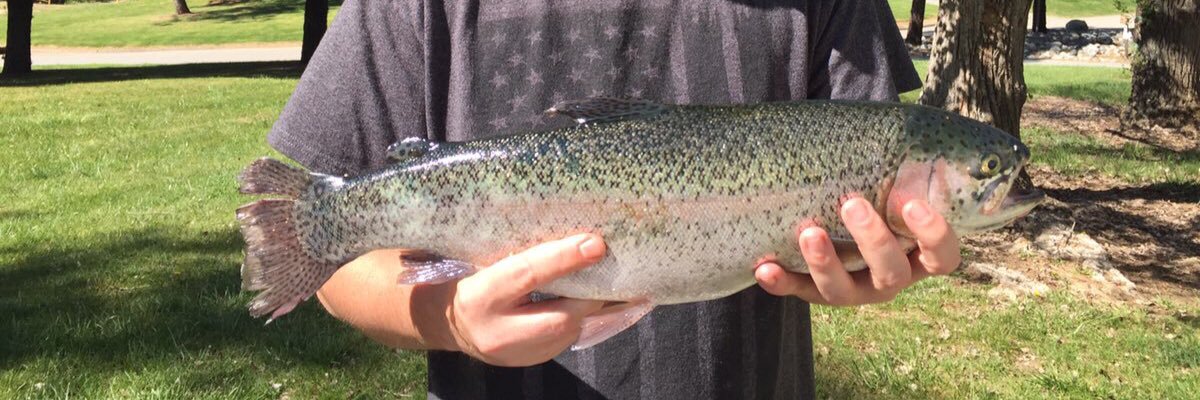 mrrohrer1's profile banner image