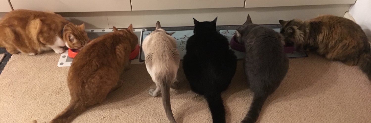 😺Julie Abernethy😺💙 banner