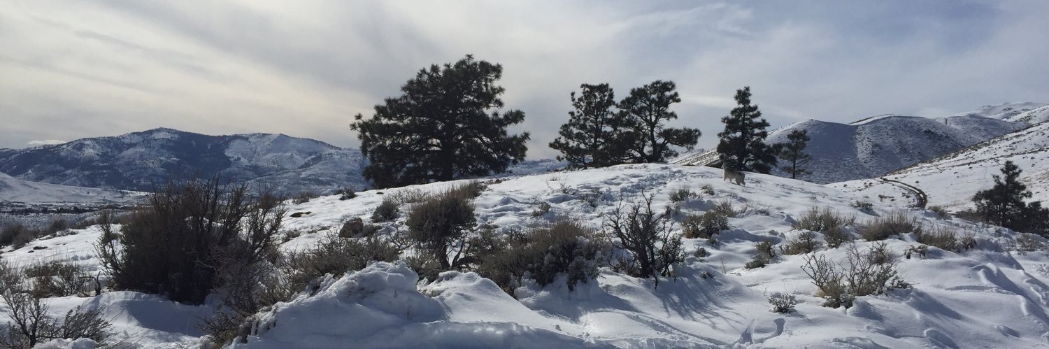 blancamiller_'s profile banner image