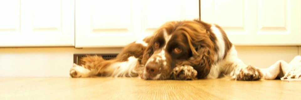 BillysTweets's profile banner image
