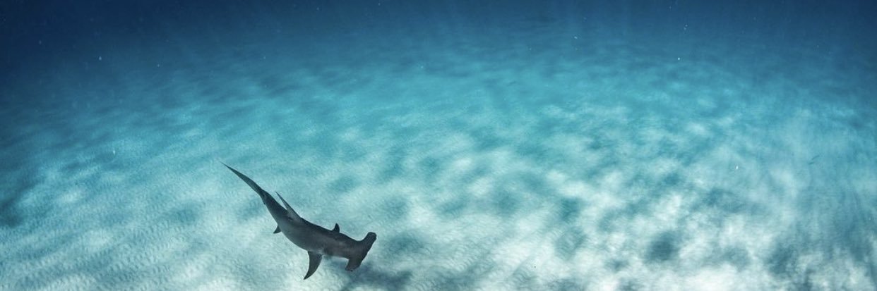 twisted_tuna's profile banner image