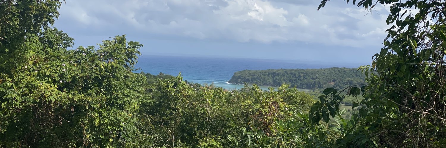 douglabwoy_'s profile banner image