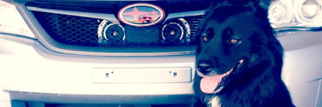 Shepherd0727's profile banner image