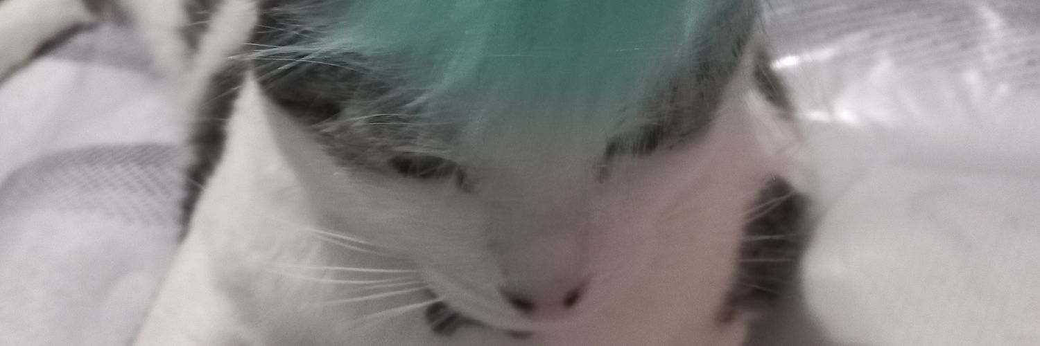 dandrade_ram's profile banner image
