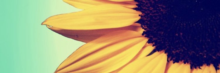 beeyuhself's profile banner image