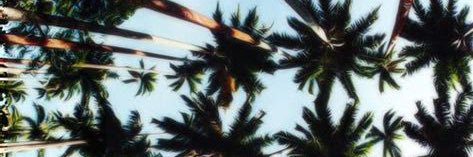 _chelseamc's profile banner image