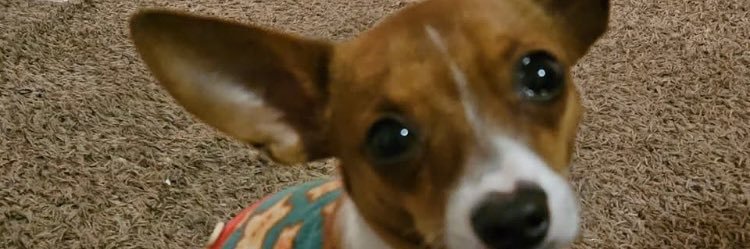lahando's profile banner image