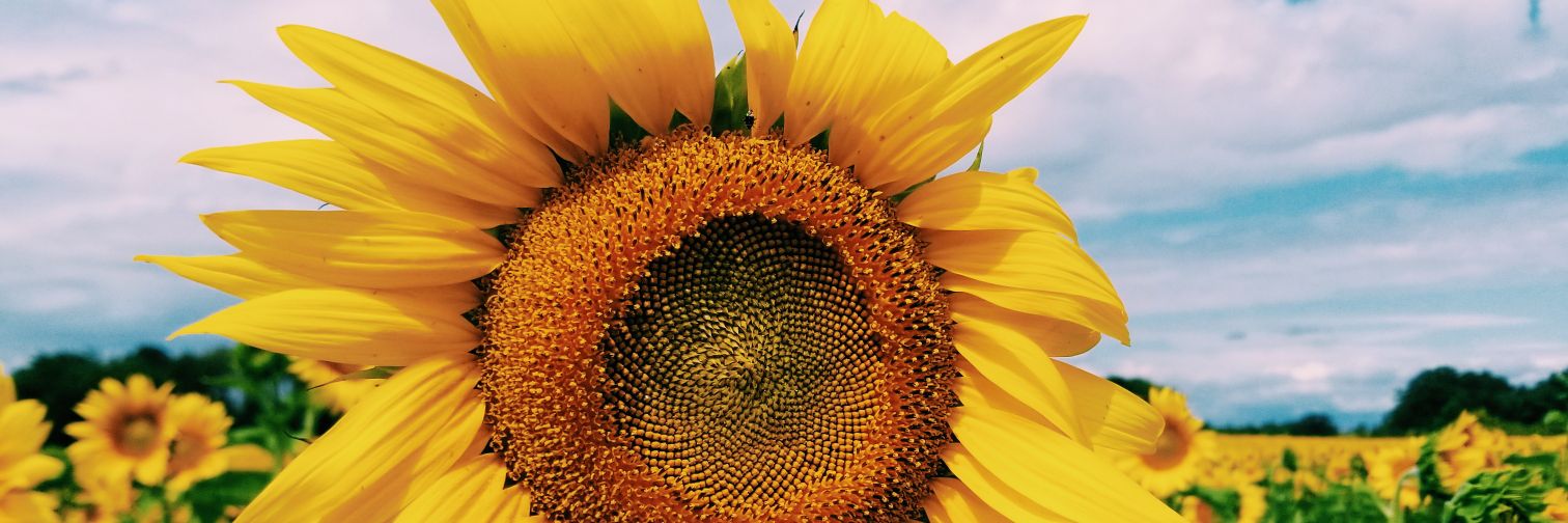AshleyyBriannee's profile banner image