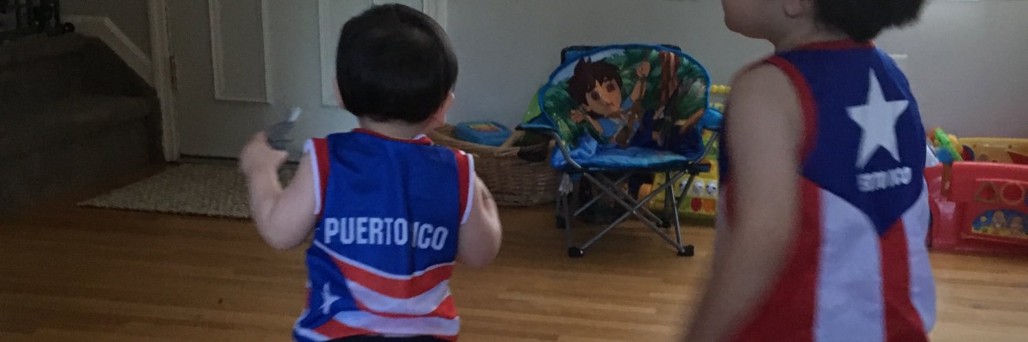 The Irish Rican banner