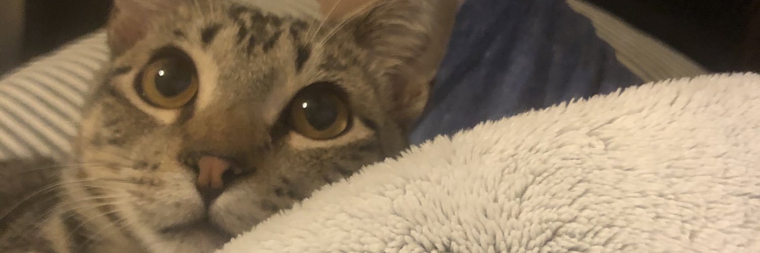ashlynyates_'s profile banner image