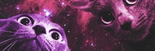Smeezus's profile banner image