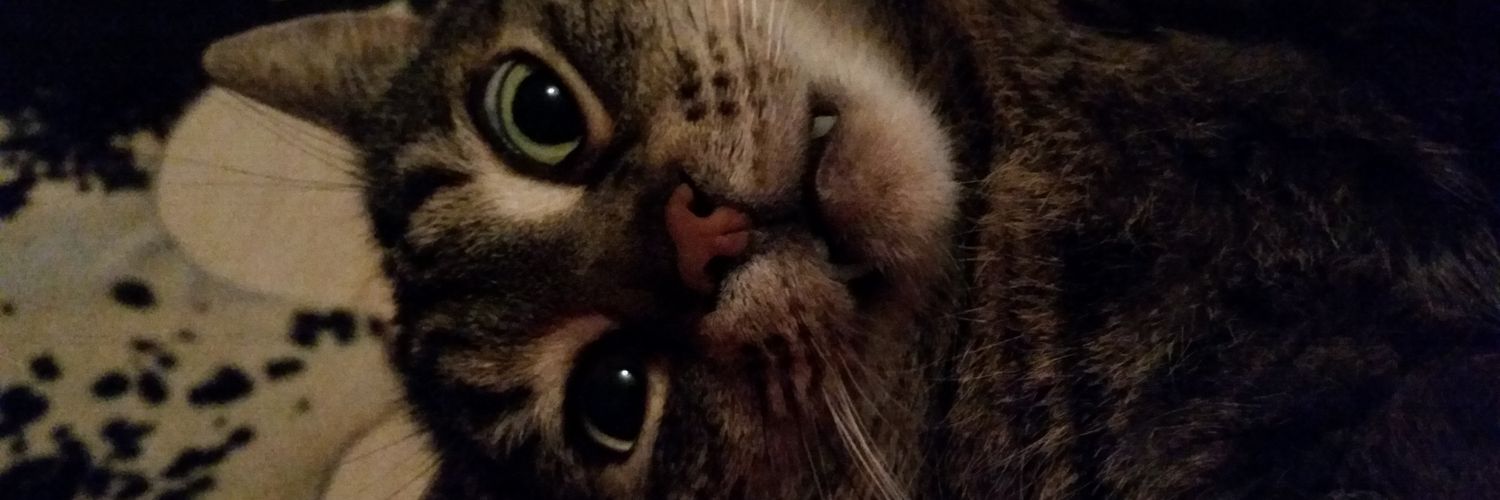 herma__j's profile banner image