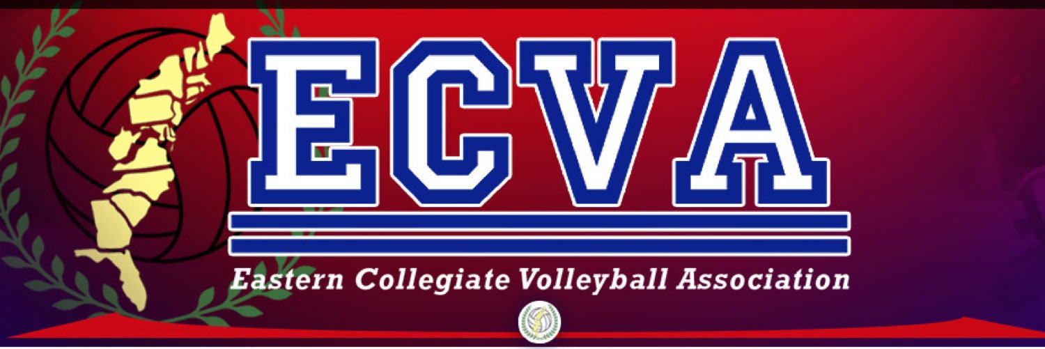 ECVAvolleyball's profile banner image
