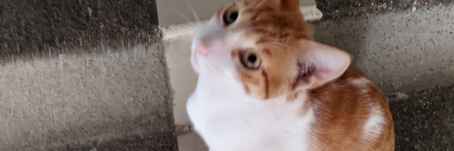 jeeTeresa's profile banner image